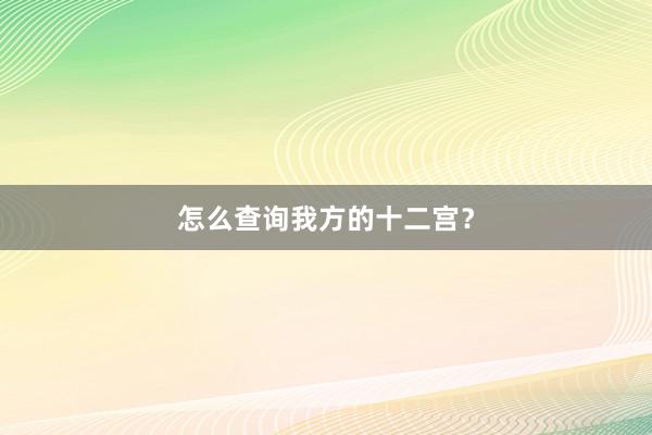 怎么查询我方的十二宫？