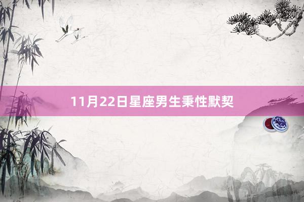 11月22日星座男生秉性默契